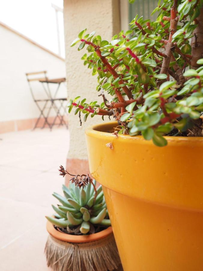 Apartaments la Rambla - Arbequina - 6 persones Cornudella de Montsant Extérieur photo